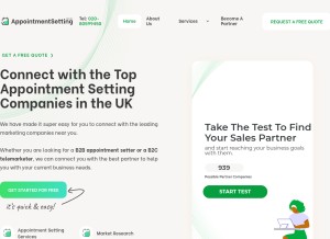 How appointmentsetting.co.uk looks like on a tablet such as an iPad.