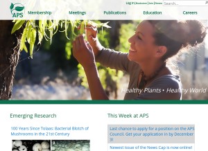 How apsnet.org looks like on a tablet such as an iPad.