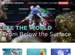 How aqua.org looks like on a tablet such as an iPad.