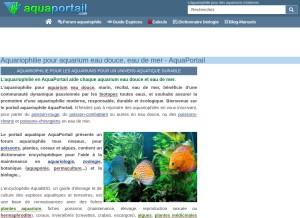 How aquaportail.com looks like on a tablet such as an iPad.