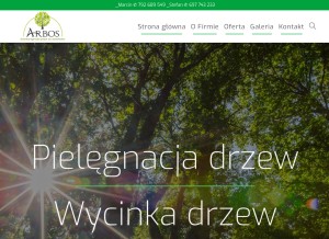 How arbos.org.pl looks like on a tablet such as an iPad.