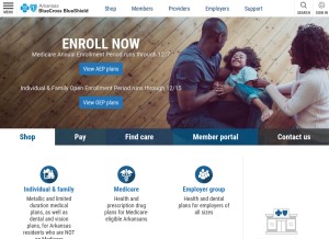 How arkansasbluecross.com looks like on a tablet such as an iPad.