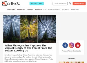 How artfido.com looks like on a tablet such as an iPad.