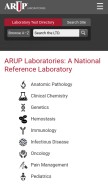 How aruplab.com looks like on a mobile device such as an iPhone.