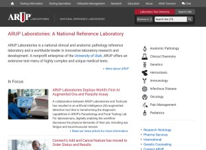 How aruplab.com looks like on a tablet such as an iPad.