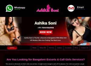 How ashikasoni.com looks like on a tablet such as an iPad.