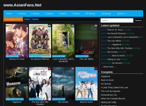 How asianfans.net looks like on a tablet such as an iPad.