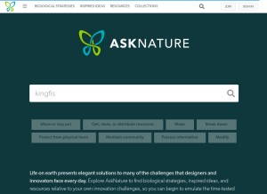 How asknature.org looks like on a tablet such as an iPad.