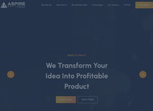 How aspiresoftserv.com looks like on a tablet such as an iPad.