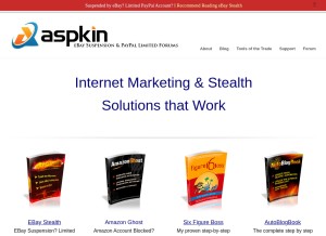 How aspkin.com looks like on a tablet such as an iPad.