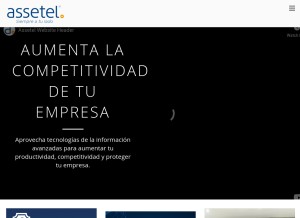 How assetel.com looks like on a tablet such as an iPad.