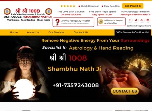 How astrologershambhunath.com looks like on a tablet such as an iPad.
