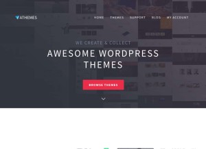 How athemes.com looks like on a tablet such as an iPad.