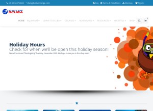 How atlanticedge.com looks like on a tablet such as an iPad.
