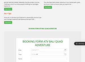 How atvbaliquad.com looks like on a tablet such as an iPad.