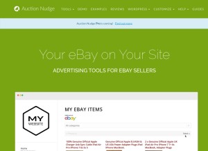 How auctionnudge.com looks like on a tablet such as an iPad.