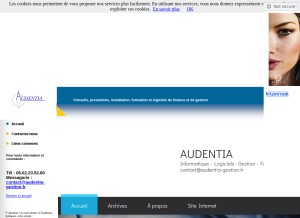 How audentia-gestion.fr looks like on a tablet such as an iPad.