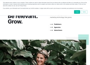 How audienceproject.com looks like on a tablet such as an iPad.