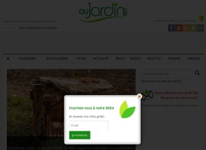 How aujardin.info looks like on a tablet such as an iPad.