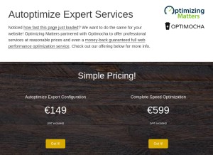 How autoptimize.com looks like on a tablet such as an iPad.