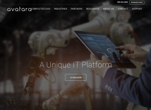 How avatara-llc.com looks like on a tablet such as an iPad.