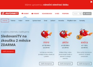 How avonet.cz looks like on a tablet such as an iPad.