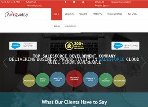 How awsquality.com looks like on a tablet such as an iPad.
