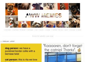 How awwmemes.com looks like on a tablet such as an iPad.