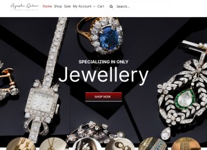 How ayeshaqadeer.com looks like on a tablet such as an iPad.