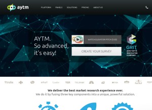 How aytm.com looks like on a tablet such as an iPad.