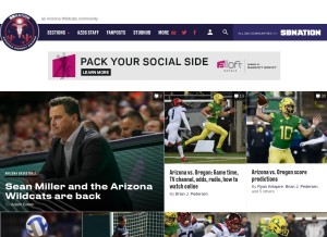 How azdesertswarm.com looks like on a tablet such as an iPad.