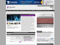 Desktop screenshot for amm.com