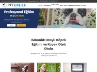 Desktop screenshot for petokulu.com