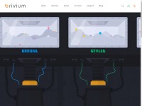 Desktop screenshot for brivium.com