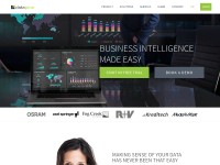 Desktop screenshot for datapine.com