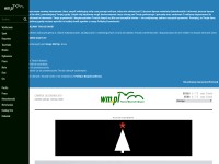 Desktop screenshot for wm.pl