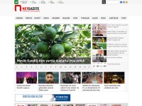 Desktop screenshot for netgazete.com