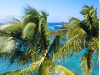 Desktop screenshot for azds.com