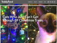 Desktop screenshot for teddyfeed.com