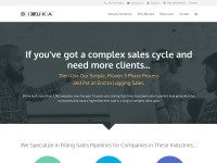 Desktop screenshot for bizzuka.com