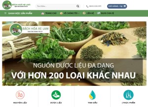 How bachhoaxelam.com looks like on a tablet such as an iPad.