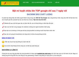 How backlinkbao.com looks like on a tablet such as an iPad.