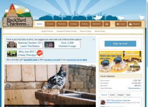 How backyardchickens.com looks like on a tablet such as an iPad.