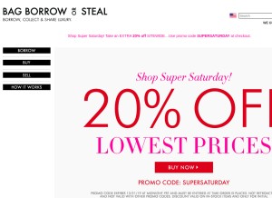 How bagborroworsteal.com looks like on a tablet such as an iPad.