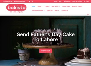 How bakisto.pk looks like on a tablet such as an iPad.