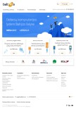 How balt.net looks like on a mobile device such as an iPhone.