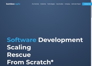 How bambooagile.eu looks like on a tablet such as an iPad.
