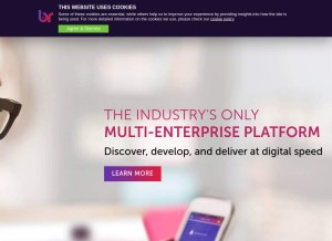 How bamboorose.com looks like on a tablet such as an iPad.