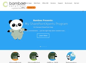 How bamboosolutions.com looks like on a tablet such as an iPad.
