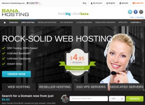 How banahosting.com looks like on a tablet such as an iPad.